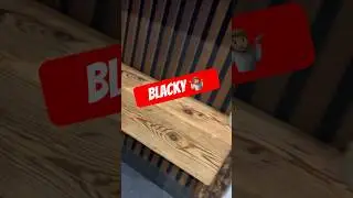 Germanys Next Top Rabbit vol. 6 Blacky  #babyrabbit #funnyy #gntm #SmartBunnyFarm ## #crazy #кролики