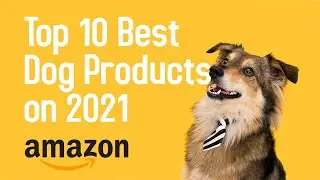 Top 10 Best dog products on amazon 2021