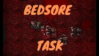 MEDIVIA - Bedsore task