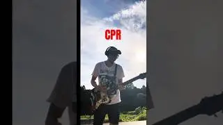 Wet Leg / CPR #guitarcover #music #indierock #alternativerock