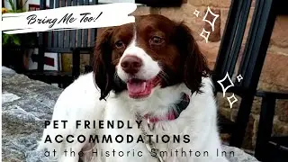 Pet Friendly Bed and Breakfast in Lancaster PA