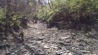 Exploring Mill Creek in Nashville
