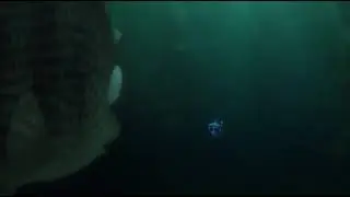 Finding Dory: I'm sorry. I suffer from short-term remembory loss.