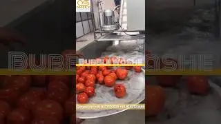 Bubble Washer #washers#machine#fmcgexport #fmcgexport #fmcgproducts #foodmachine #food #manufacture