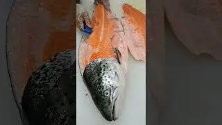 Expert Cuts a Whole Salmon in Seconds &ndash; Pure Skill!