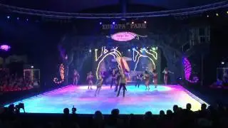 2014 IAAPA Brass Ring Awards: Live Entertainment Excellence