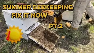 Summer Beekeeping part 2. “Fixing issues”