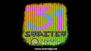 Animal DJ - Sopeteo 31 (www.animaldj.co)