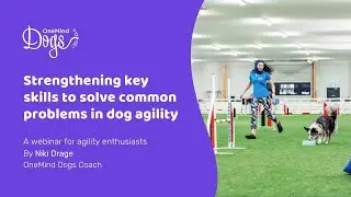 FREE Webinar: Strengthening key skills to solve common problems in dog agility