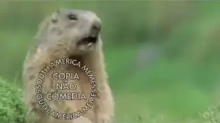 Meme nhe original