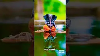 trending status#vinayan # whatsapp status video.