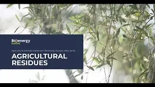 Agricultural Biomass for Energy Crops Series: The potential of Agricultural Residues