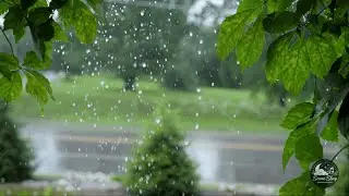 10 Hours of Rain Sounds 🌧️ &ndash; Calm & Relaxing Sleep Ambience All Night