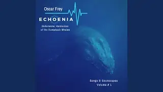 Whales Soundscapes