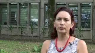 Psicogénesis de la lectoescritura