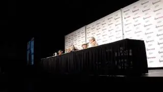 Nightmare on Elmstreet 30 Year Reunion Dallas Comic Con 2014 HD 1080p