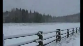 J&auml;rvaf&auml;lten, snowy Sunday 3 February 208