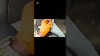 2008-2012 Honda Accord - bad ignition swapped in - Fail programming - System NOT NORMAL