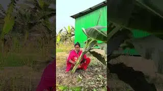 #reels #смешно #длятебя #в тренде #короткоевидео #vairalvideo