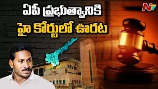 AP High Court Division Bench Suspends Single Bench Order on Mega Solar Project Tenders | NTV