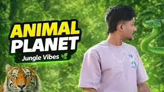 Animal Planet LIVE 😱. #vlog #animals #indiavlog #india #youtubeshorts 