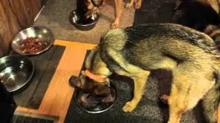 20150531 1703071