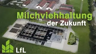 Forschung für die Milchviehhaltung der Zukunft