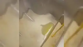 Pasta fresca trafila in bronzo