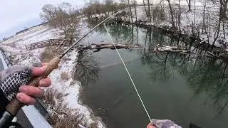 FLY Fishing in the snow! First of many fish for the new year! (22 degrees)