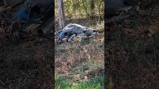 Trash pile from cleaning a field #randytavis