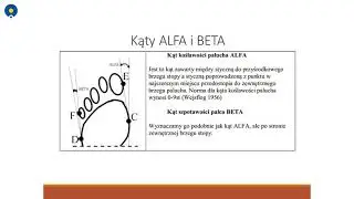 Plantokonturografia, czyli czego można dowiedzieć się o stopach.