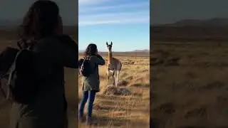 Любовь была настолько сильной, что она никогда не забывала свою маму 💖
