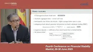 6.  Banking dynamics, market discipline and capital regulations