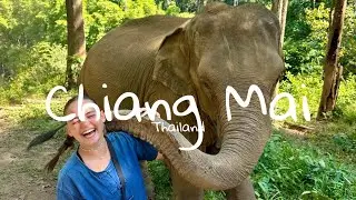 CHIANG MAI, THAILAND🇹🇭 | LADYBOY CABARET & EEN DAGJE BIJ DE OLIFANTJES | WERELDREIS VLOG 21