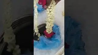 Fresh Flower shop in Dammam/Jasmin flower& Rose/Bulk Order for parties & Functions