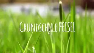 Infos zur FCBG Grundschule Gummersbach