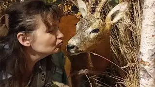 Центр Киплера