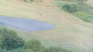 Texan Top Class  RG landing LFOF
