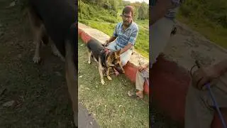 ऋषिमुनि ka श्राप👹Part2#vlog #dog #shorts #vlogger