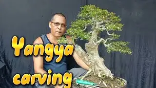 YANGYA / WORKSHOP # 62