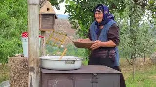 Traditional Azerbaijani Dolma – Stuffed Tomatoes, Peppers & Eggplants in the Village