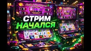 Живой стрим IRL запустил настоящее казино 