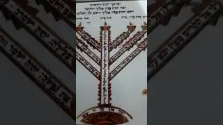 מאמר כחו של רשב