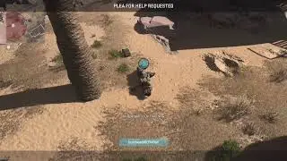 Hunting