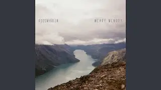 Weary Memory