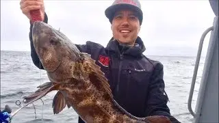 Rock fish Lingcod Commercial Fishing