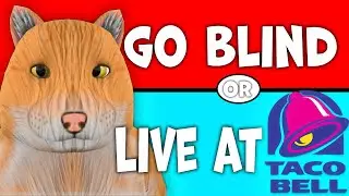 VRChat Answers The Internet’s HOTTEST Questions