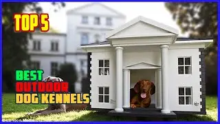 TOP 5 Best Outdoor Dog Kennels 2025