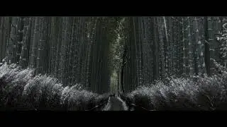 Winter JAPAN | KYOTO | Cinematic Film