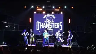 O'Hamsters - Свати і Бояри (Live at 